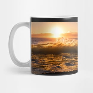 The Splash Before the Crash Mug